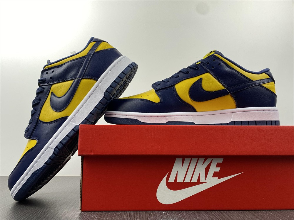 from Nike SB Dunk Low Michigan DD1391-700
