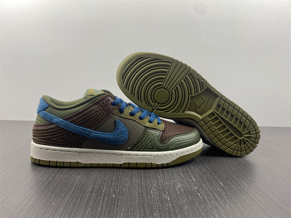 from Nike SB Dunk Low DR0159-200