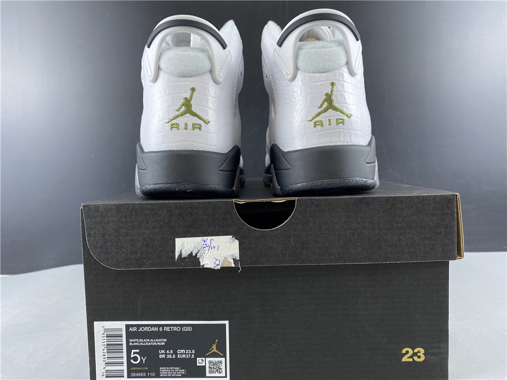 Air Jordan 6 GS 384665-110