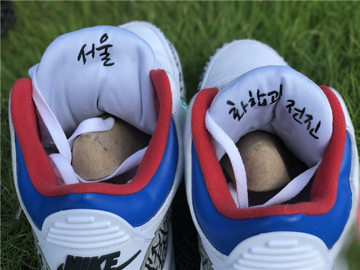 Air Jordan 3 Korea