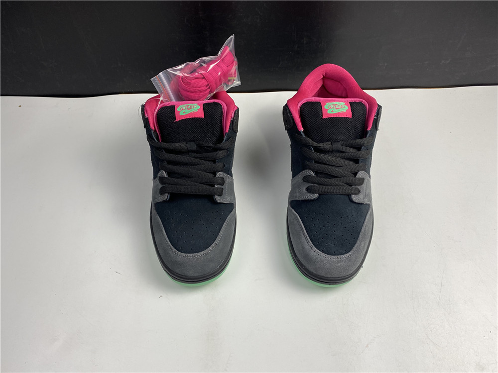 from Nike SB Dunk Low Premier Northern Lights 724183-063