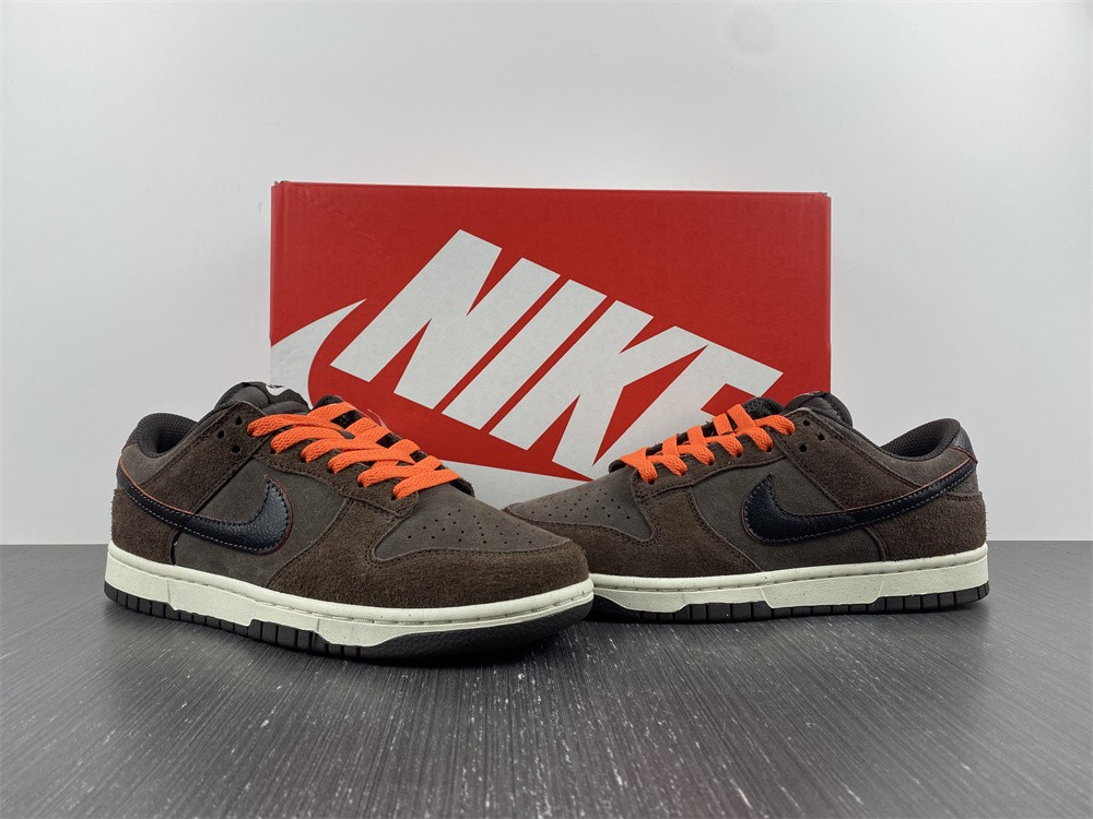 from Dunk Low Retro DQ8801-200