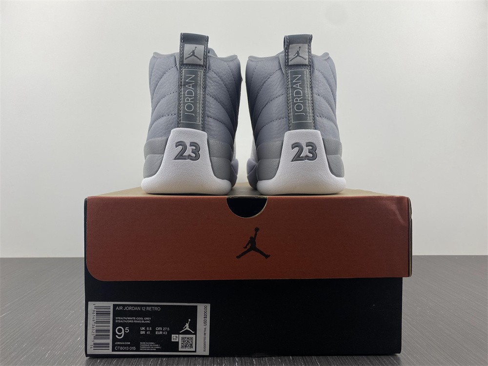 Air Jordan 12 STEALTH CT8013-015