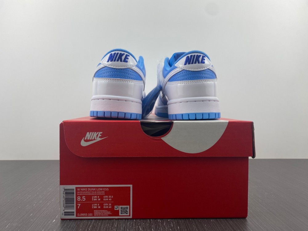 from Nike SB Dunk Low DJ9955-101