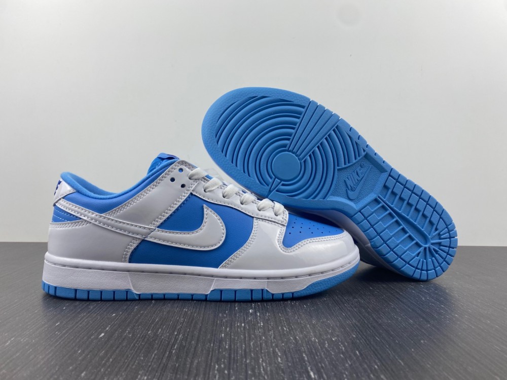 from Nike SB Dunk Low DJ9955-101