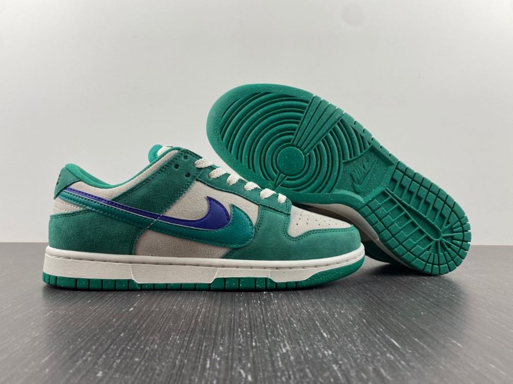 from Nike SB Dunk Low DO9457-101