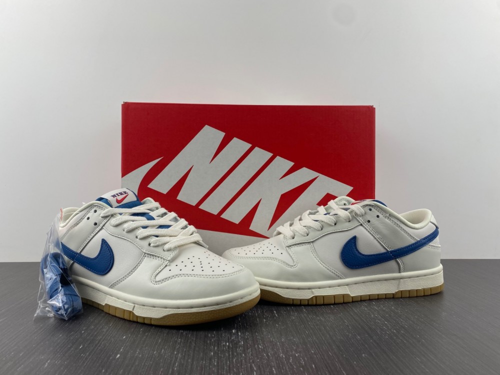 from Nike SB DUNK LOW DX3198-133