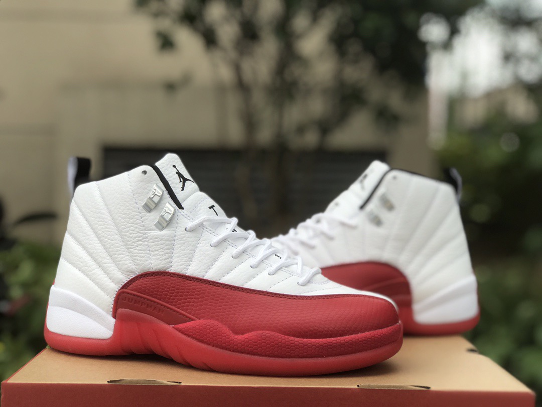 Air Jordan 12