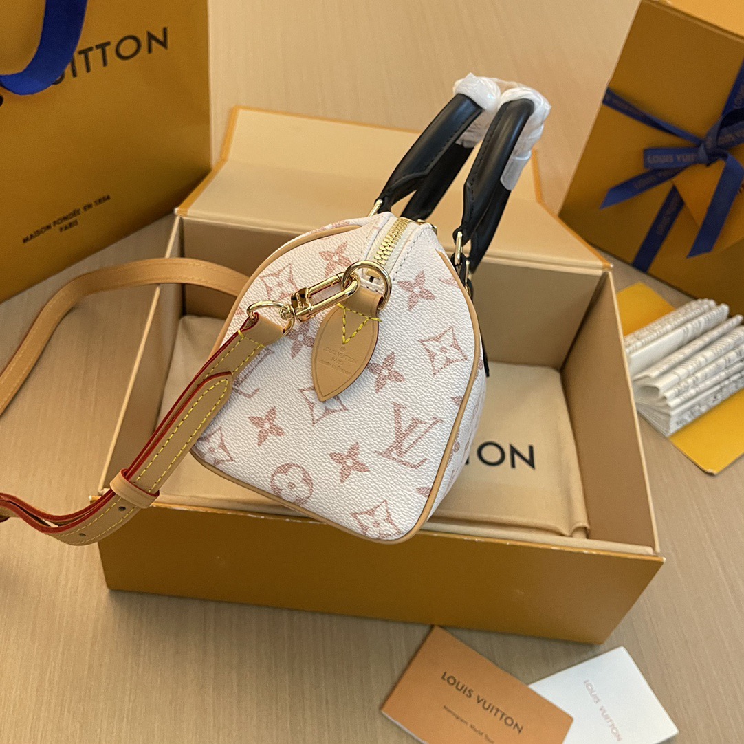 L*ouis V*uitton Top Bag