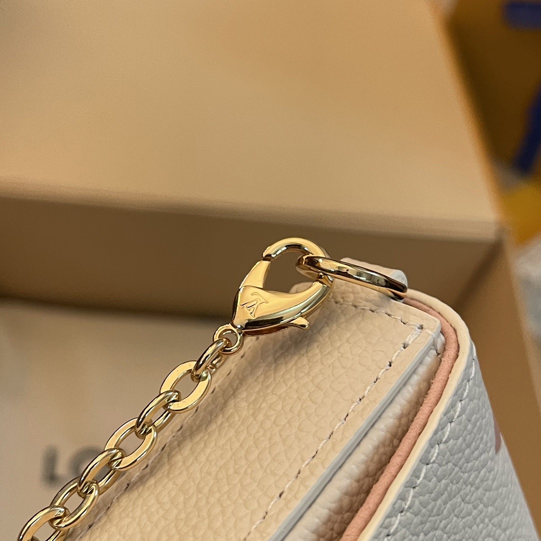 L*ouis V*uitton Top Bag