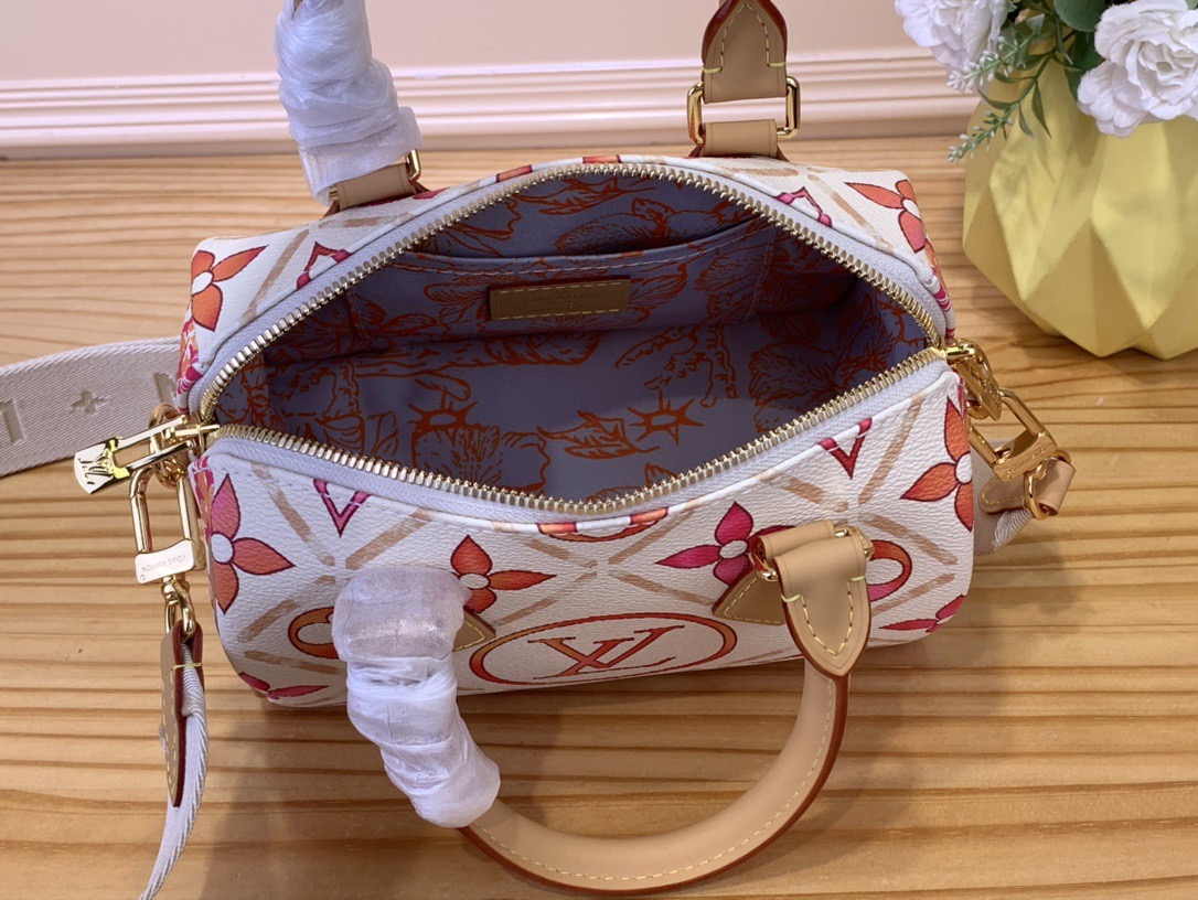 L*ouis V*uitton Top Bag