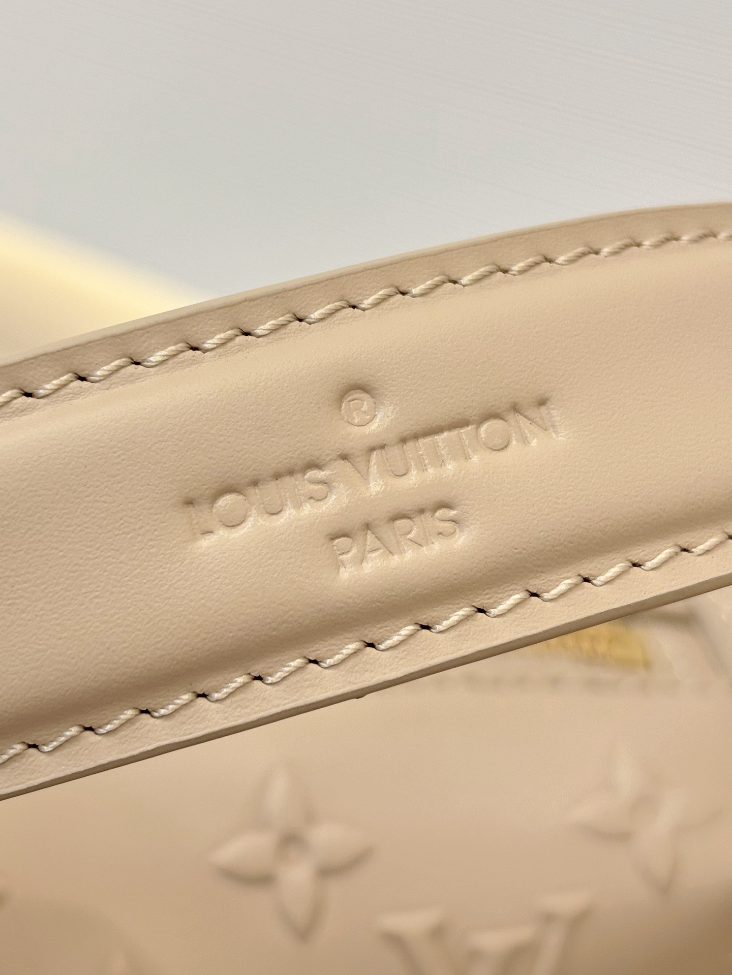 L*ouis V*uitton Top Bag